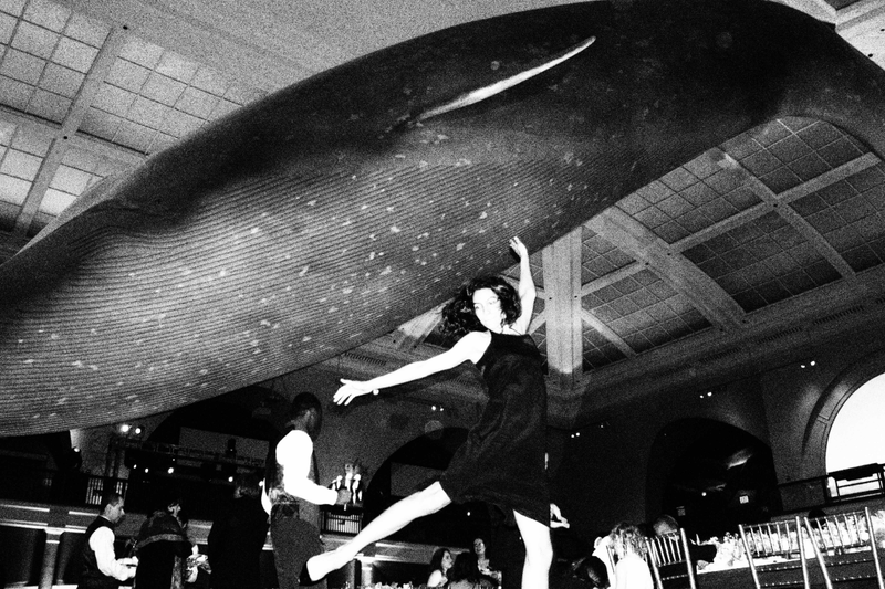 Illustration for article titled A WEDDING : UNDER A WHALE